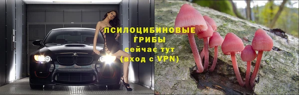 ГАЛЛЮЦИНОГЕННЫЕ ГРИБЫ Алексин