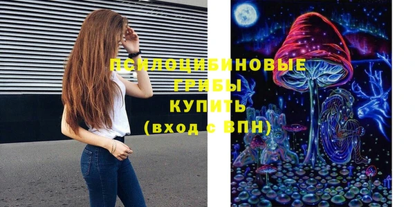 ГАЛЛЮЦИНОГЕННЫЕ ГРИБЫ Алексин