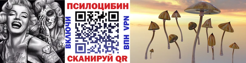 OMG зеркало  магазин    Электрогорск  Галлюциногенные грибы GOLDEN TEACHER 