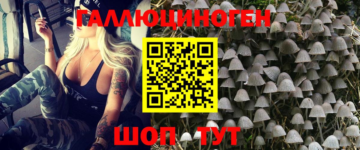 Канабис Электрогорск